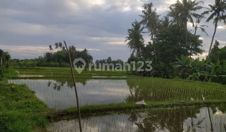 Tanah Sewa Di Denpasar Bali Jl Ahmad Yani Dkt Darmasaba,mambal,puspem Badung