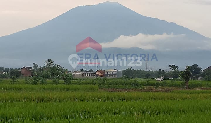 Tanah Sawah Area Junrejo Batu Status Hak Milik