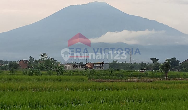 Tanah Sawah Area Junrejo Batu Status Hak Milik
