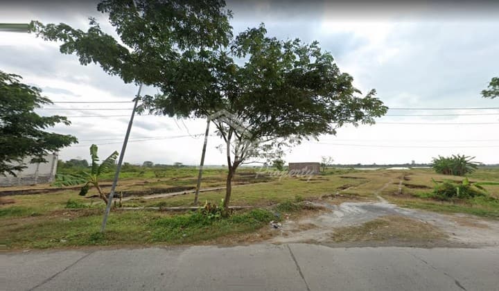Tanah di Onggorawe , Sayung Demak ( Vn 3268 )
