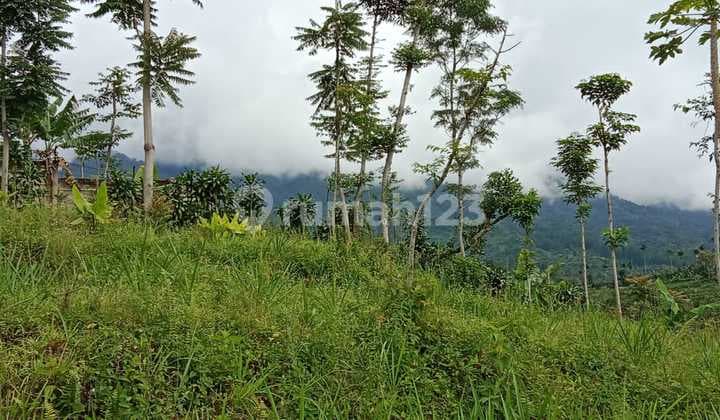 Tanah dijual