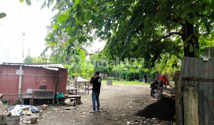 Tanah Langka di Raya Puputan Renon