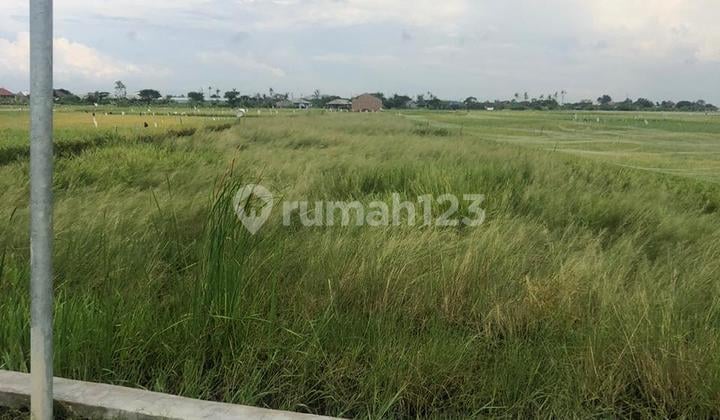 Tanah di Banjarsari , sayung , demak