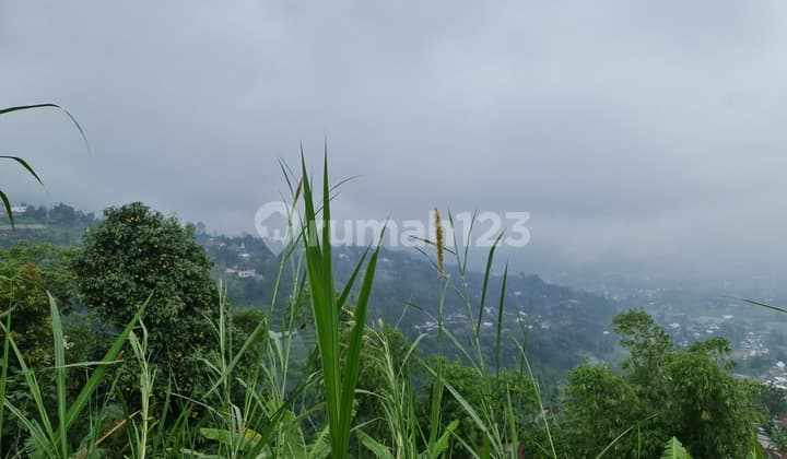 Tanah pemandangan indah di kemuning karanganyar solo