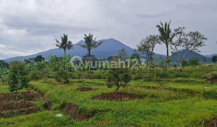 Tanah pemandangan gunung lawu di karangpandan solo