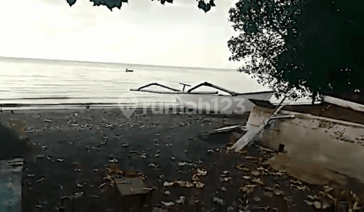 TEMUKUS BEACH SINGARAJA BEACHFRONT LAND