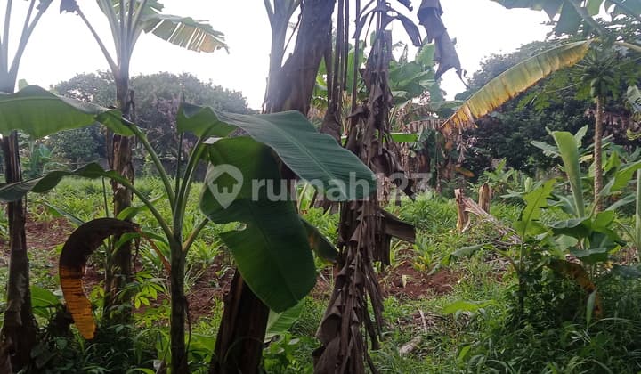 Tanah zona komersial murah banget