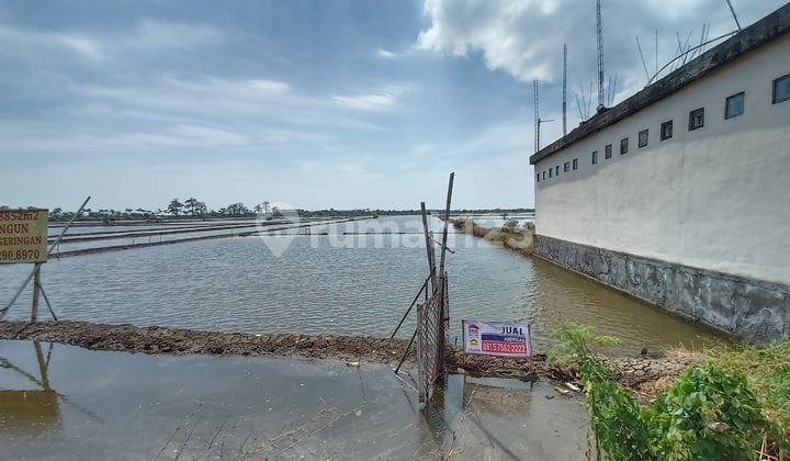 Tanah pinggir jalan nasional di Kaliwungu, Kendal