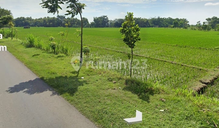 Tanah Industri di Nol Jalan Propinsi Rejoso Nganjuk Tanah Industri di Nol Jalan Propinsi Rejoso Nganjuk