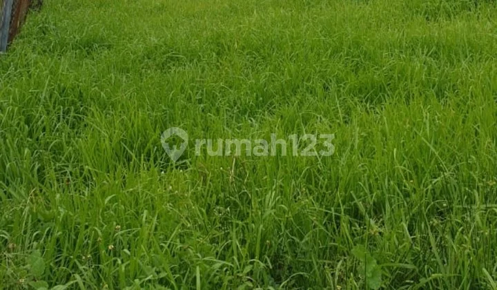 Jual tanah bukit palma citraland utara surabaya barat Jual tanah bukit palma citraland utara surabaya barat