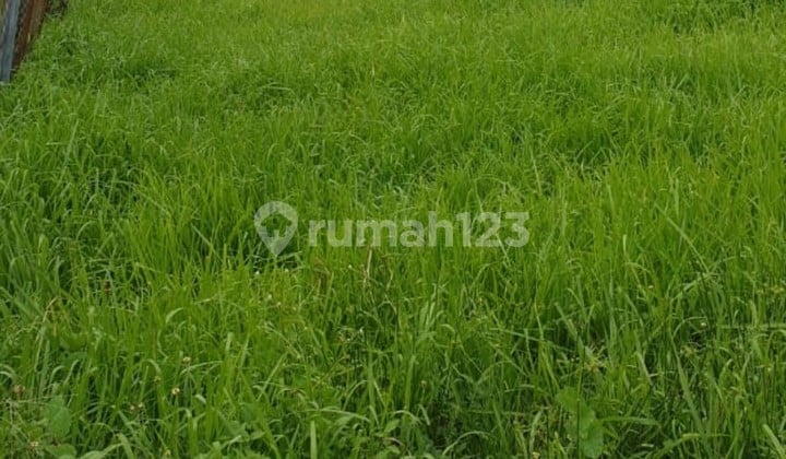 Jual tanah bukit palma citraland utara surabaya barat