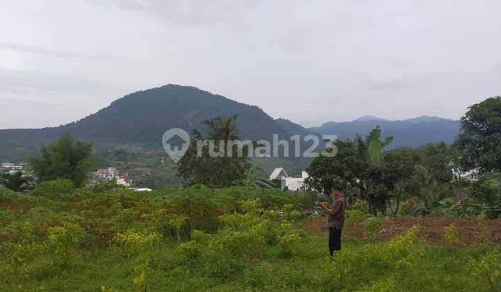 Tanah untuk bisnis cafe/Resort dibojongkoneng view sangat the best