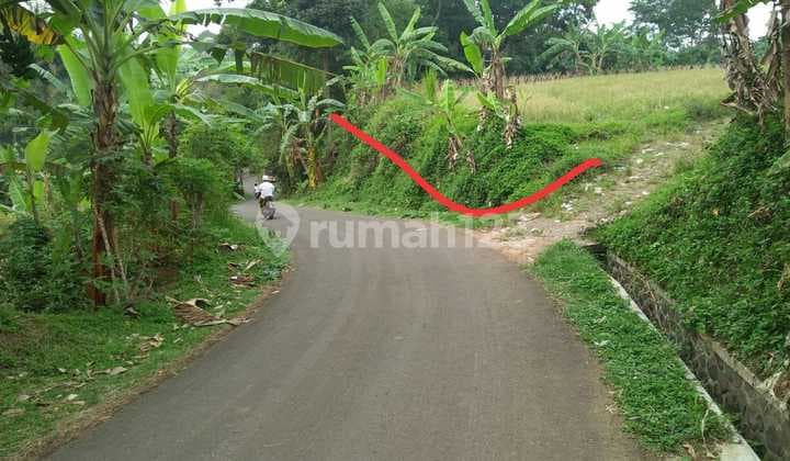 Dijual Tanah Cijeruk Bogor, Luas 700m2 Dibawah Kaki Gunung Salak Bogor.