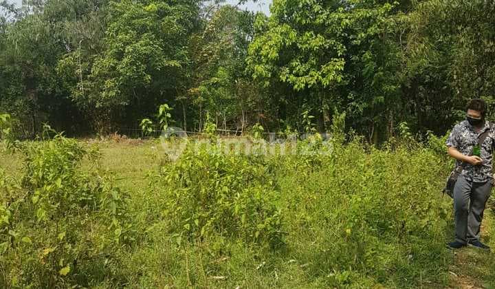 Dijual Cepat Tanah Desa Mekarsari Cariu Bogor