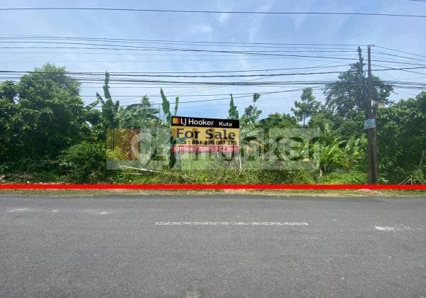 Lowest Price Land in Dewi Saraswati SEMINYAK KUTA Bali