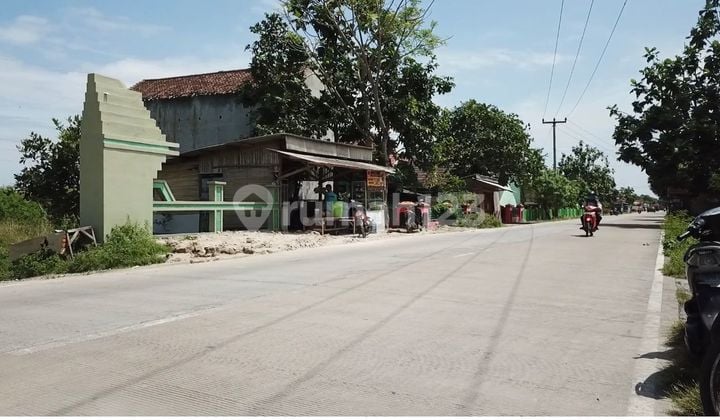 Jual Tanah Di Jalan Raya Propinsi Kasemen, Pontang - Kota Serang