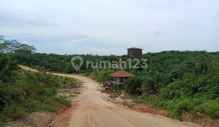 TANAH SUPER LUAS DI KALIMANTAN
