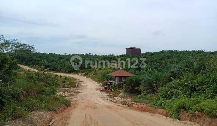 SUPER WIDE LAND IN KALIMANTAN