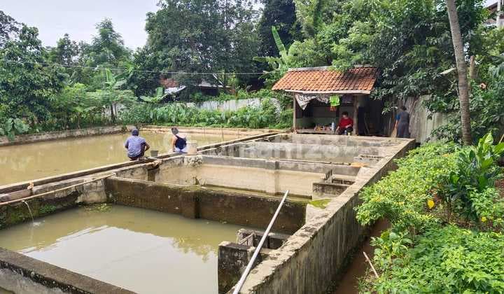 Tanah di Sukaraja - Bogor Utara cocok untuk Ternak ikan