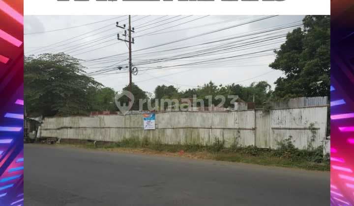 LAND BY THE PROVINCIAL ROAD JEMBER - BONDOWOSO. UNBEATABLY AFFORDABLE!