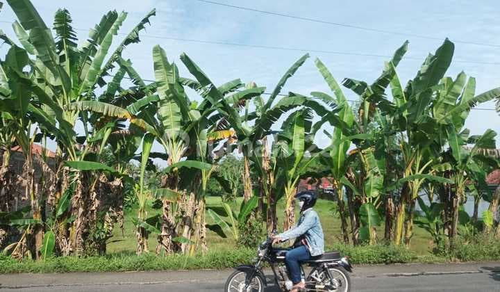Dijual tanah di karangnanas, Sokaraja, Banyumas