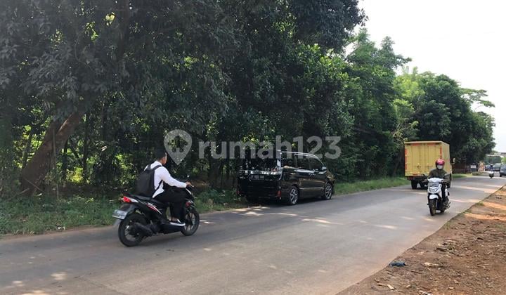 TANAH PADAT DI PURWODADI, SUBANG Cocok untuk Pabrik / Gudang