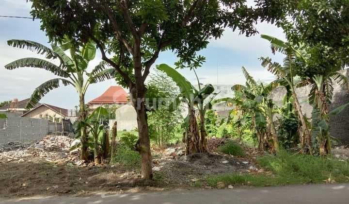 Tanah Tengah Kota Solo Cocok Untuk Perumahan