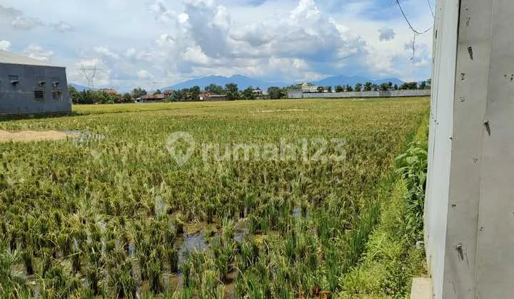 tanah rancaekek majalaya tanah rancaekek majalaya