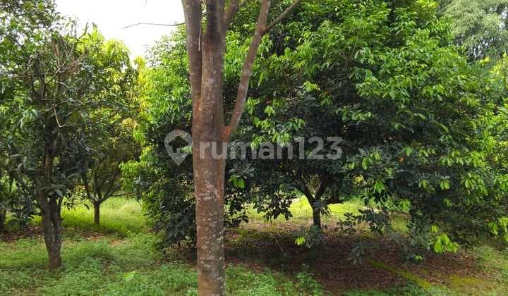 Tanah Darat Murah Siap Bangun Seluas 6.843m di Sadang Purwakarta Jawa Barat