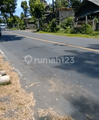 TANAH PINGGIR JALAN RAYA BATURITI BEDUGUL