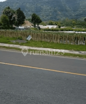 TANAH PINGGIR JALAN UTAMA BATURITI BEDUGUL