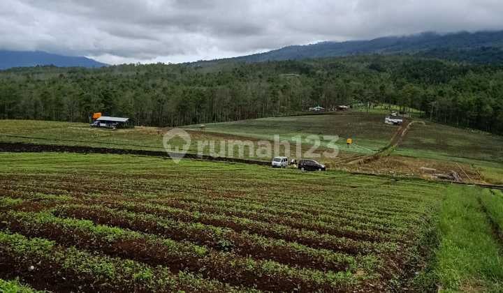 The best tourist land in Bulukerto, Batu, East Java, Malang.