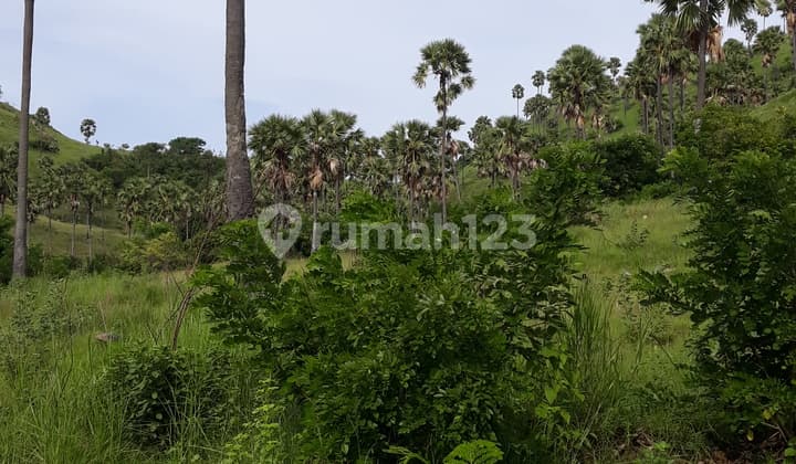 Tanah 2.500 m2, Lokasi area perhotelan bintang 5, Sangat bagus untuk usaha dan bisnis