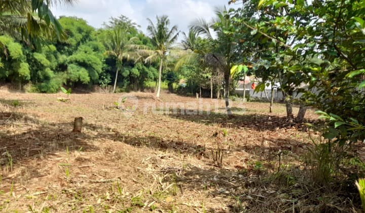Tanah di Citayam Tajur Halang Cocok Untuk Cluster Luas 5070m