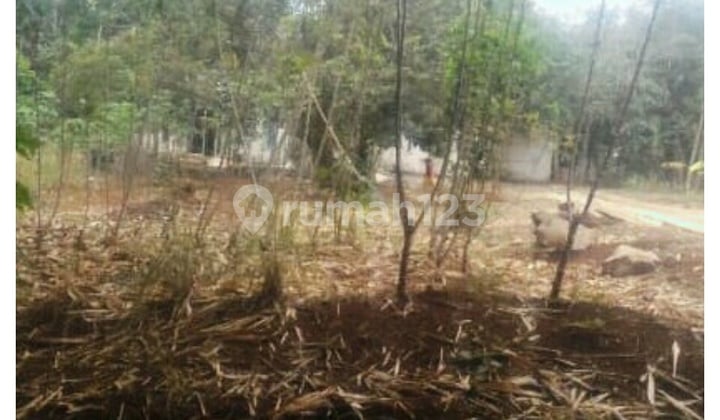 Jual Cepat Dua Bidang Lahan Tanah Murah Luas 500m dan 617m di Telajung Cikarang Barat Bekasi