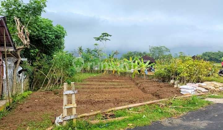 Dijual tanah di Banjarsari