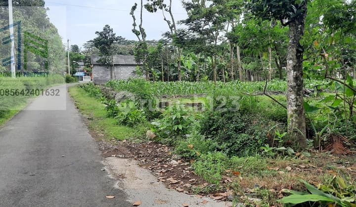 Tanah prospektif dekat jalan raya mojosongo boyolali