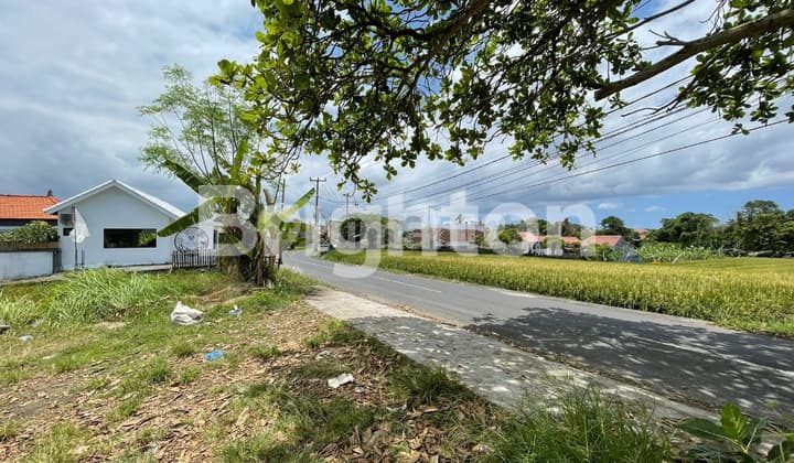 Tanah di Canggu dekat ke Pantai Pererenan View Sawah.