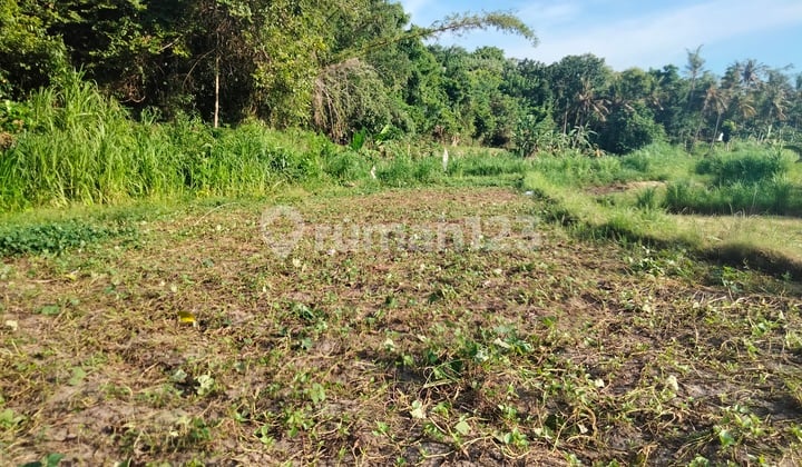 Land for sale globally near the park at the end of Karangasem, Bali