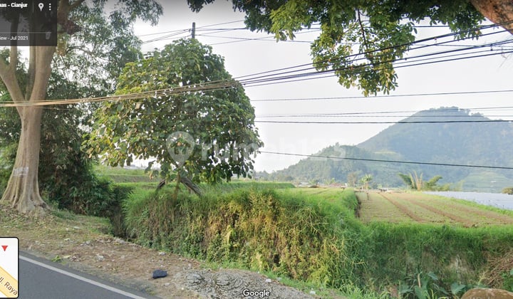 Kavling Pinggir Jalan Desa Ciherang, Cianjur Jawa Barat Kavling Pinggir Jalan Desa Ciherang, Cianjur Jawa Barat