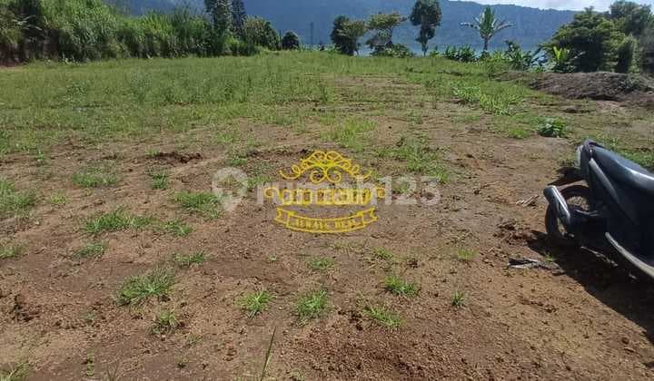 Tanah Jual Lokasi Bedugul