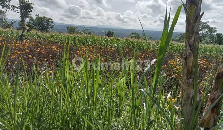 Beautiful land with Benua view