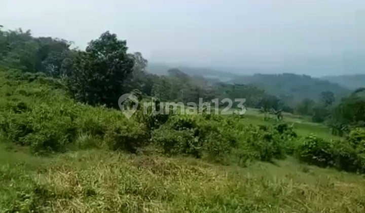 Tanah Ada Mata Air Untuk Perkebunan Dan Villa View Gunung di Cariu Bogor