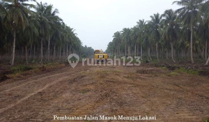 Lahan LAHAN 50 HEKTAR DIJUAL DI TEPI SUNGAI