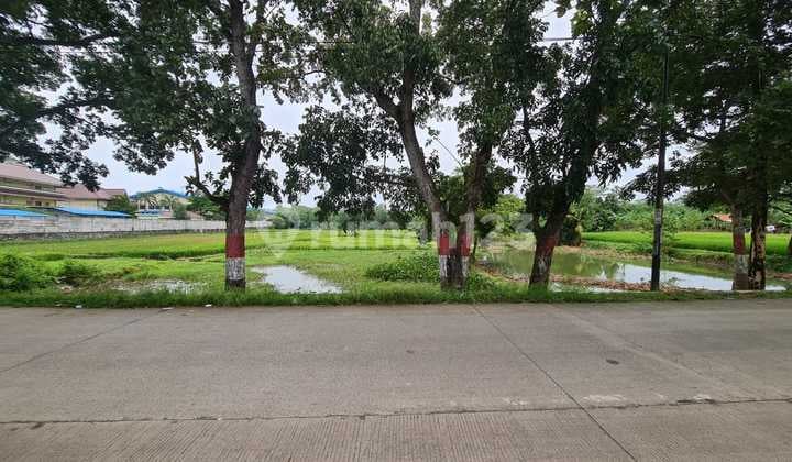 Dijual Lahan Tanah Industri Daerah Kertamukti Campaka Purwakarta Jawa Barat