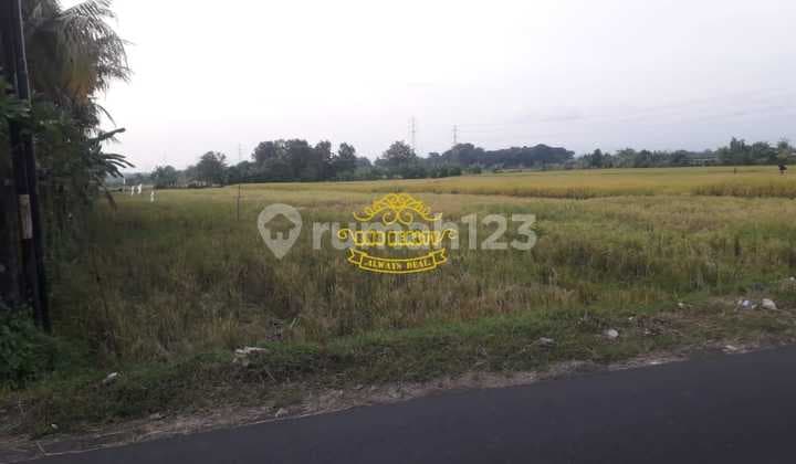 Land for Sale in Nyitdah Location