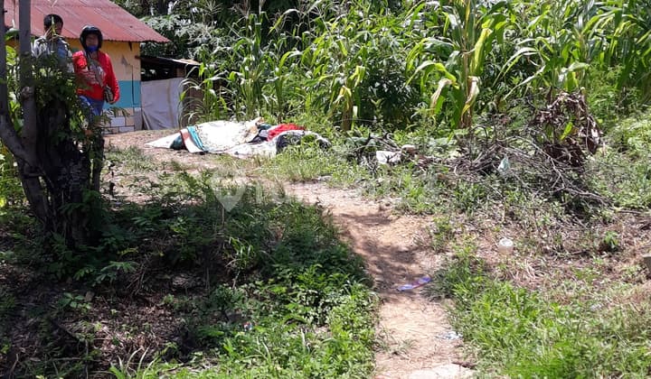 Tanah dalam kota Labuan Bajo, hanya 2 Menit dari bandara komodo. Lokasi bagus dan strategis