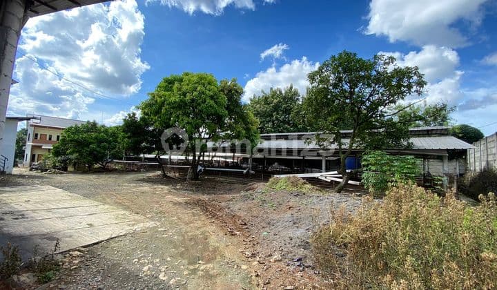 Dijual Tanah Lahan buat Usaha atau Budidaya Ternak