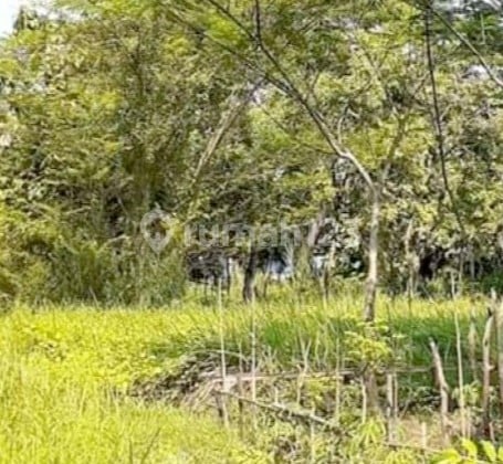 Dekat Smp 6 Pasuruan