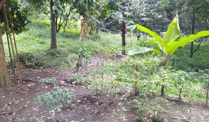 Dijual Tanah Gunung Batu Di Cimahi